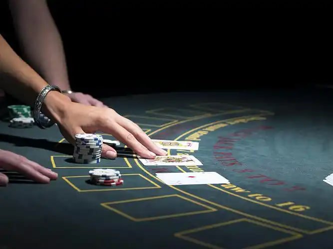 7 win three game sections – live casino, sports betting, and bingo accessible from one account